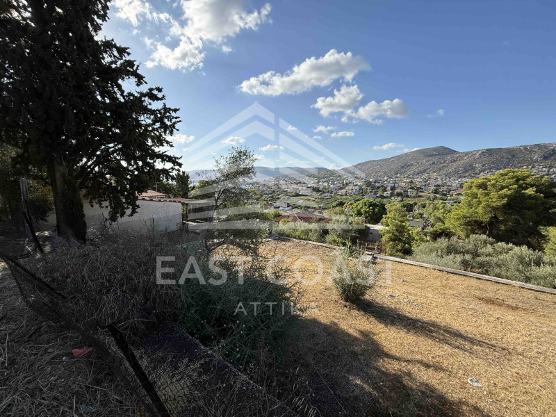 property-img